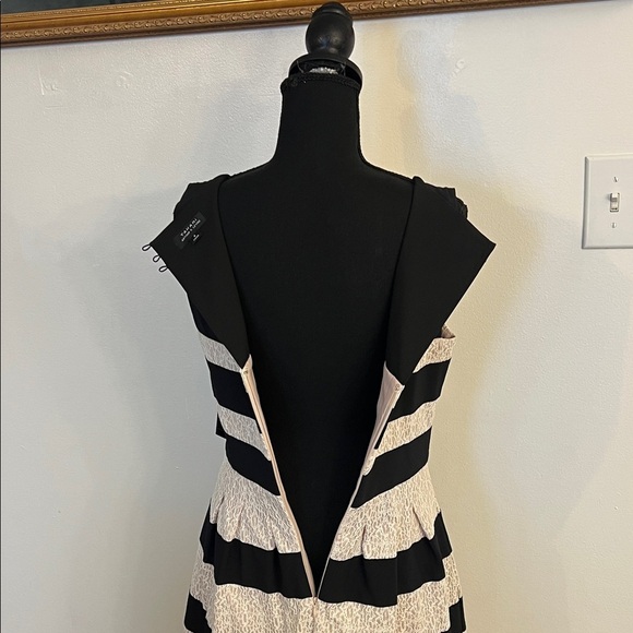 NWT Tahari Black and Cream Striped Lace Dress, Sz 6 - Picture 5 of 13